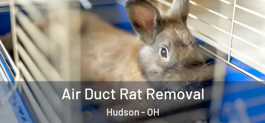  Air Duct Rat Removal Hudson - OH