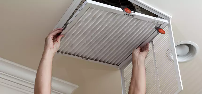 Our Insect Removal from Air Ducts Services in Hudson, OH