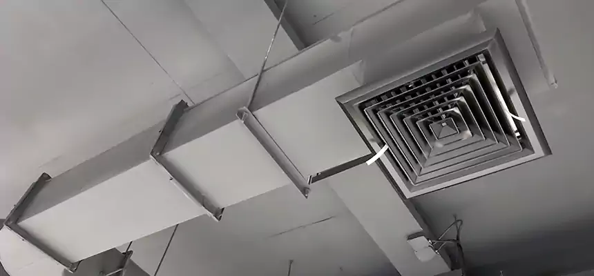 Our Pest Removal From Ducts Services in Hudson, OH