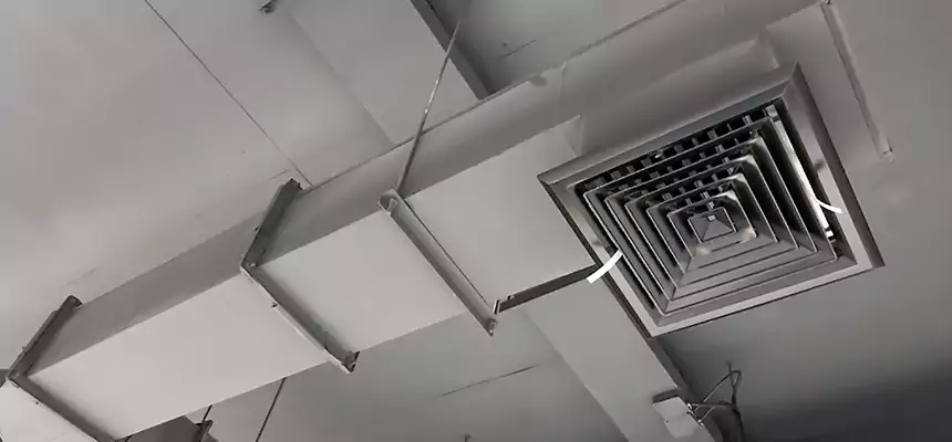 Our Rodent Droppings In Vents Services in Hudson, OH