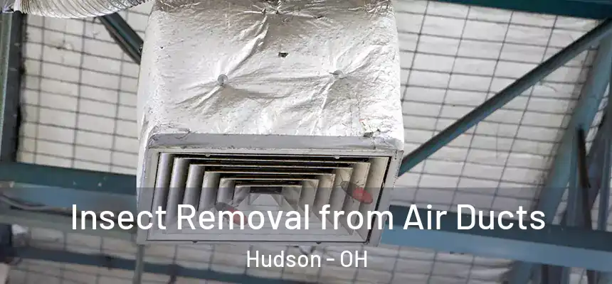  Insect Removal from Air Ducts Hudson - OH