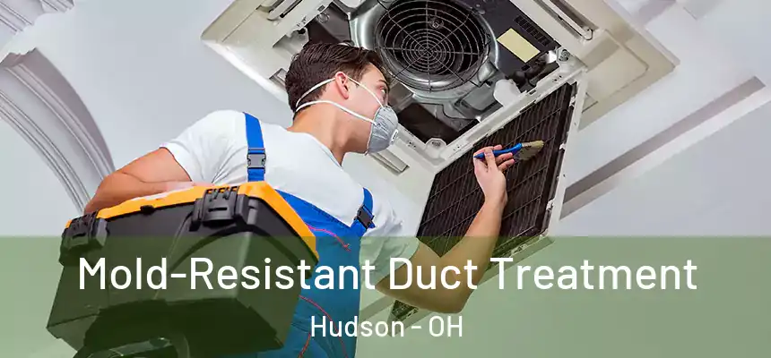  Mold-Resistant Duct Treatment Hudson - OH