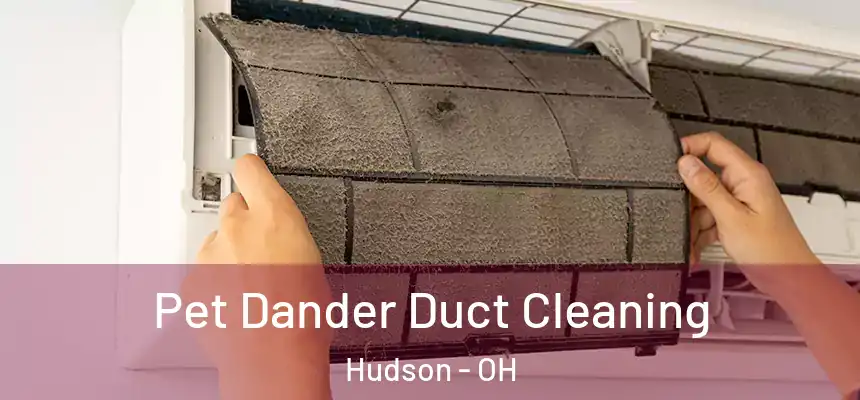  Pet Dander Duct Cleaning Hudson - OH