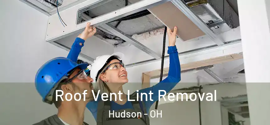  Roof Vent Lint Removal Hudson - OH