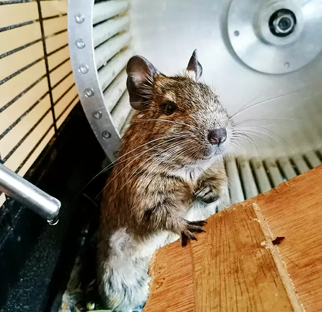 Why Homeowners & Businesses Trust Us Hudson, OH?